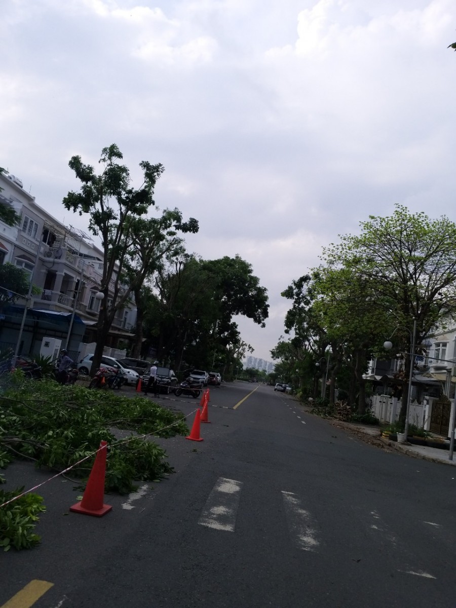 Cho thuê biệt thự Mỹ Giang 1, Phú Mỹ Hưng, Quận 7, giá rẻ