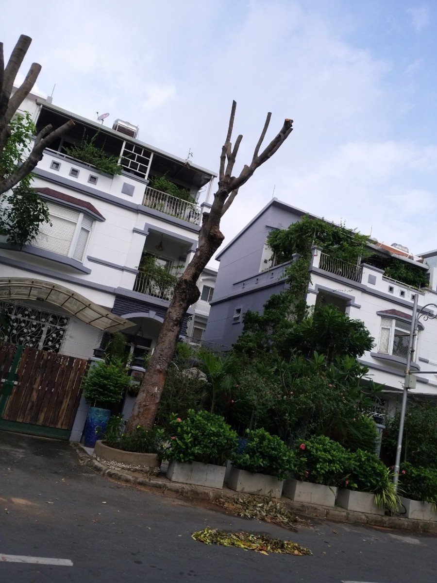 Biệt thự Mỹ Giang, ngay hồ bán nguyệt, cầu Ánh Sao, cho thuê giá 35tr/tháng, PMH, Q7