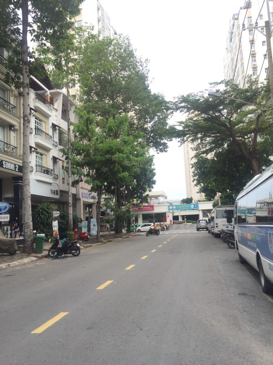 Bán lô đất trung tâm Thương Mại Giải Trí, Phú Mỹ Hưng với giá tốt - 4977