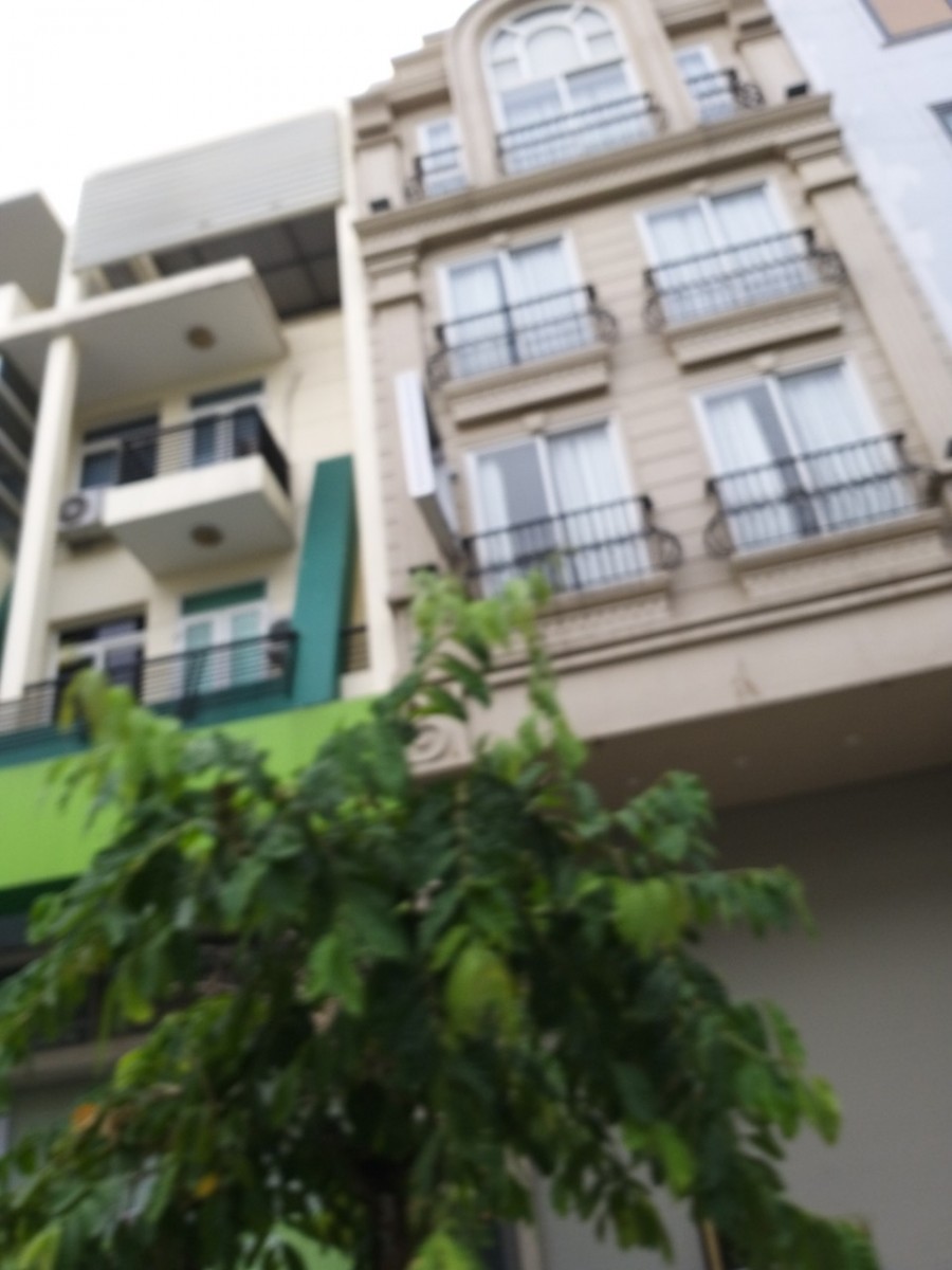 Cho thuê nhà phố kinh doanh Hưng Gia, Phú Mỹ Hưng Q7, nhà có thang máy