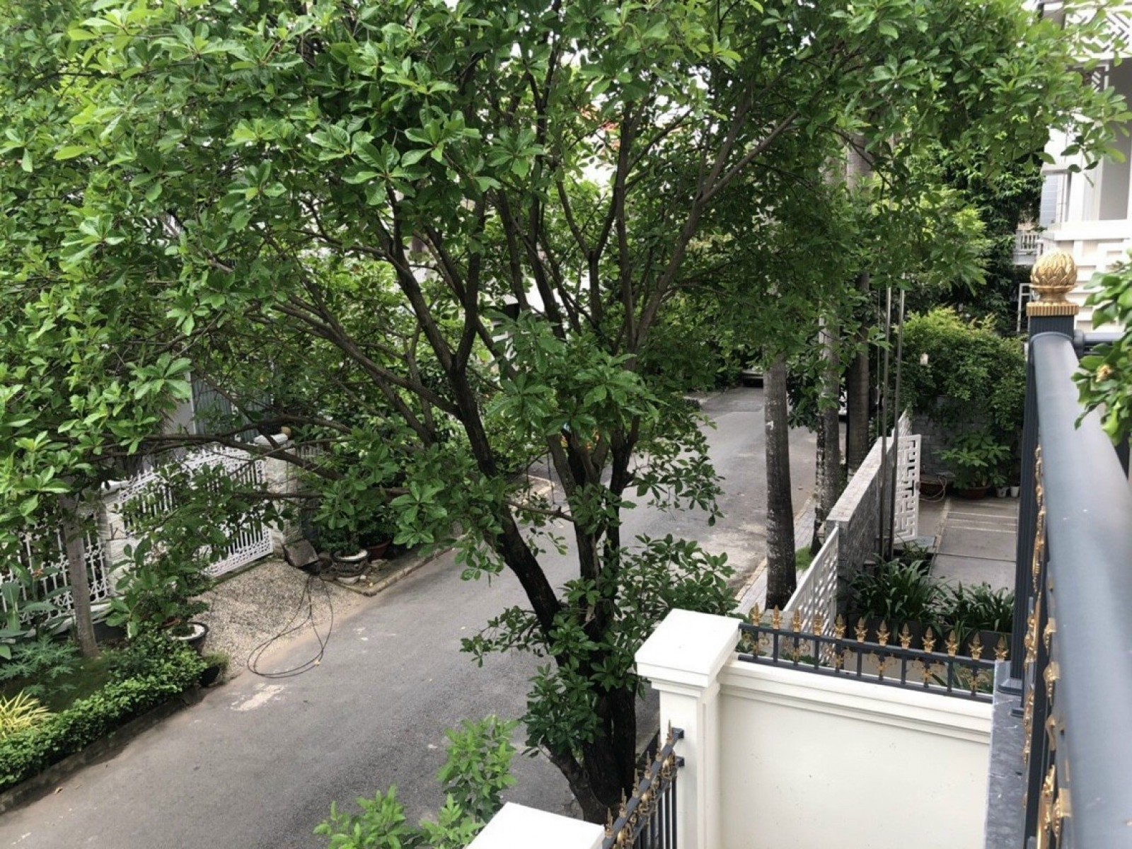 Cho thuê biệt thự nam thông hồ bơi, 5PN, full nội thất. - 10022