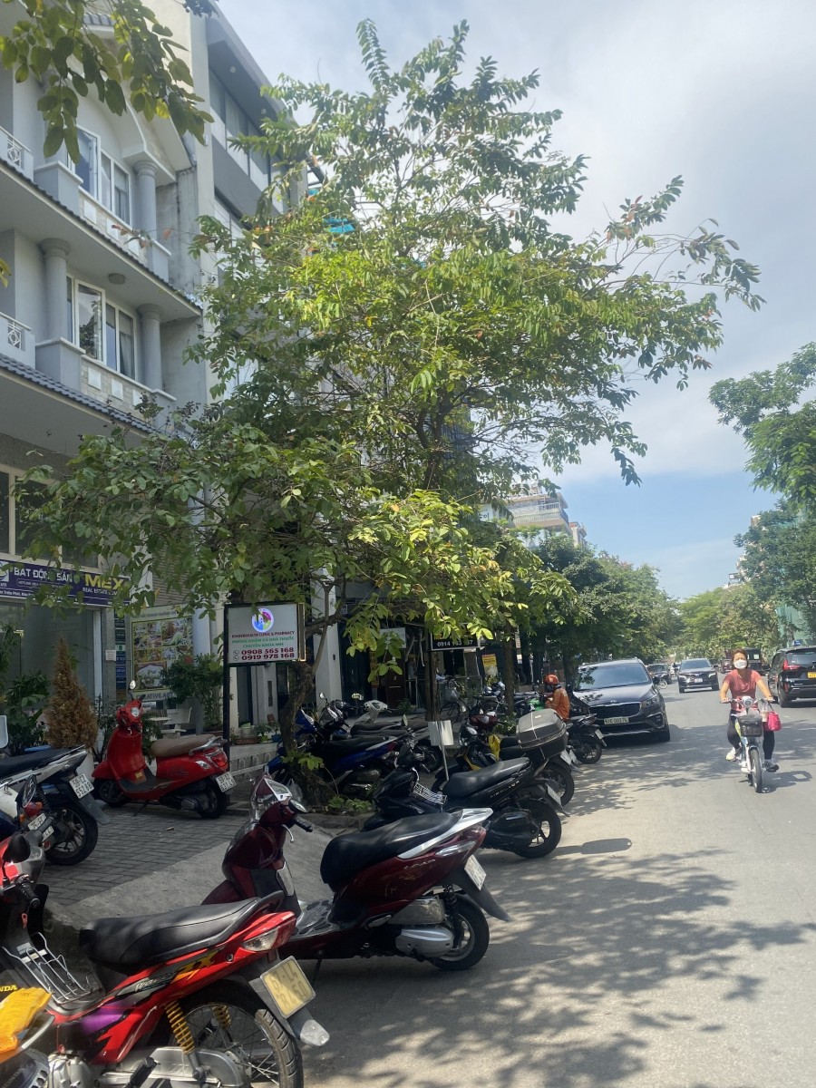Cho thuê mặt bằng mặt tiền Cao Triều Phát, PMH, Q.7, - 10053