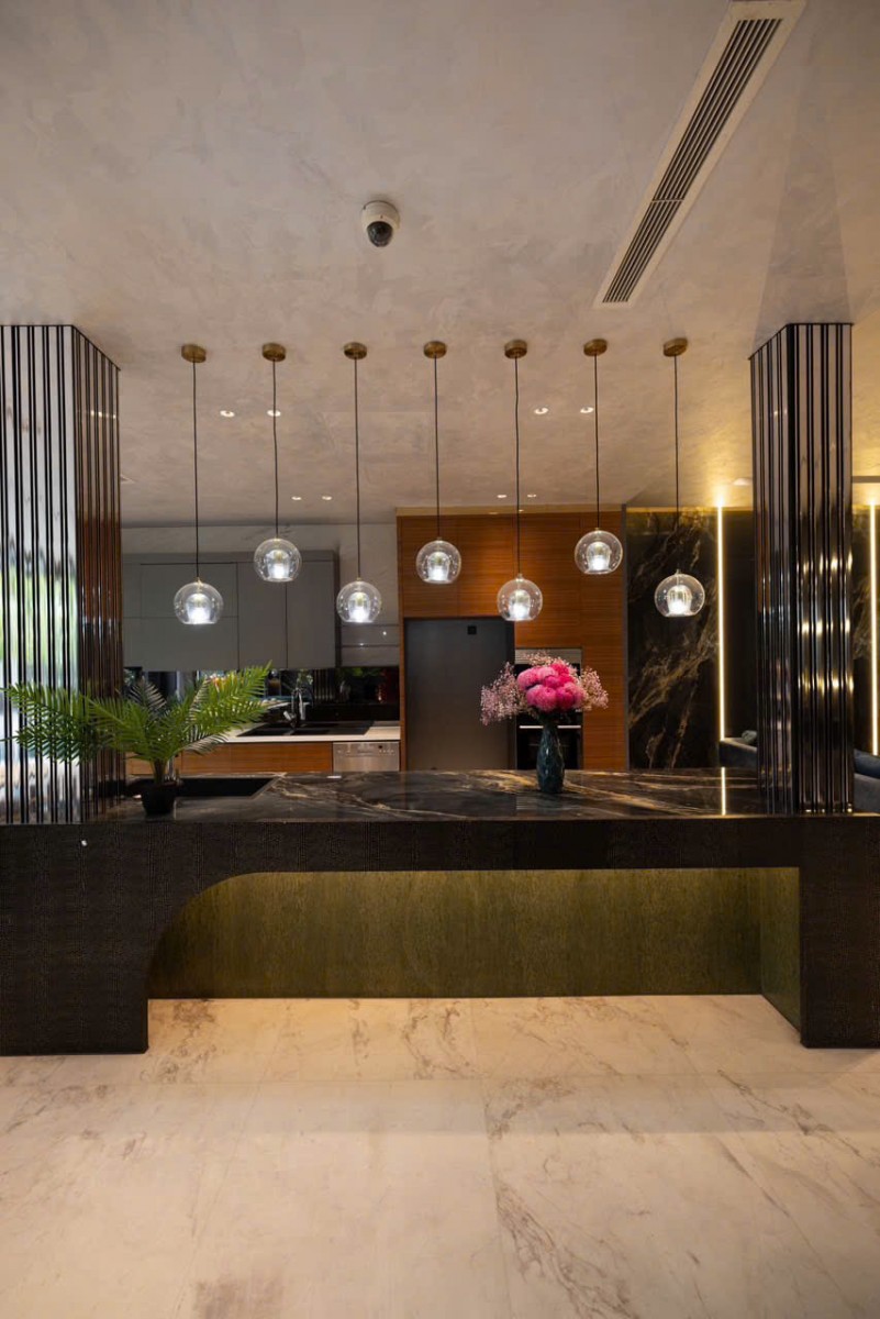 Cho thuê biệt thự đơn lập Hưng Thái 5PN, 5WC, full nội thất cao cấp - 12611