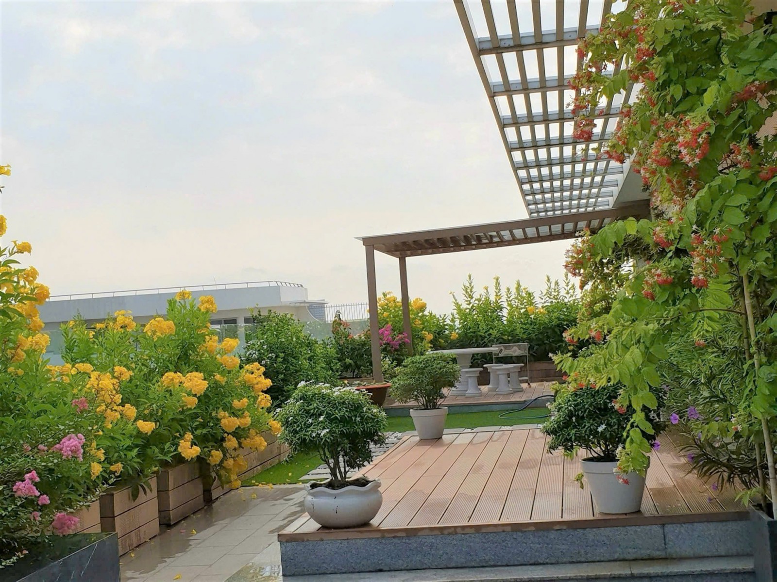 Bán căn hộ penhouse Riverpark Residence 534m2, 2 lầu, có sân vườn rộng - 13229